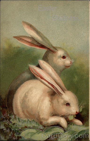 Two Bunnies on Grass With Bunnies