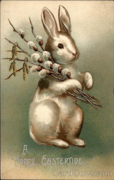 White Bunny Holds Pussy Willow With Bunnies
