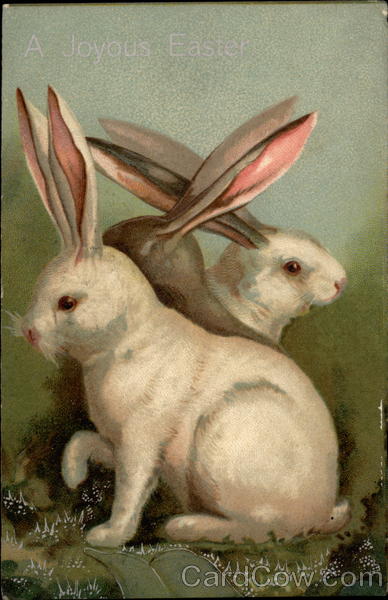 Bunnies on Grass With Bunnies