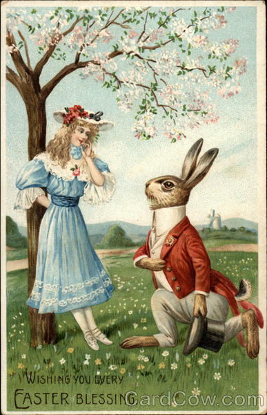 Well-dressed Bunny Proposes to Pretty Girl With Bunnies