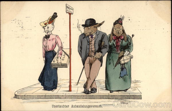 Bunny Husband Has Roving Eye With Bunnies