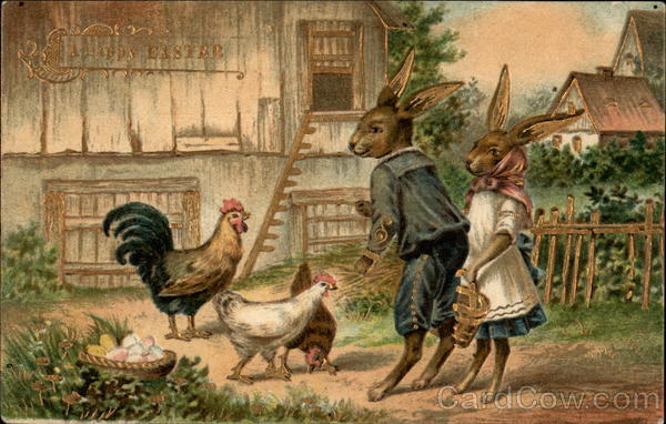 Bunny feeding the Chickens With Bunnies