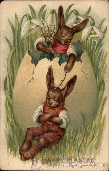A Rabbit Sleeping In The Tall Grass With Bunnies