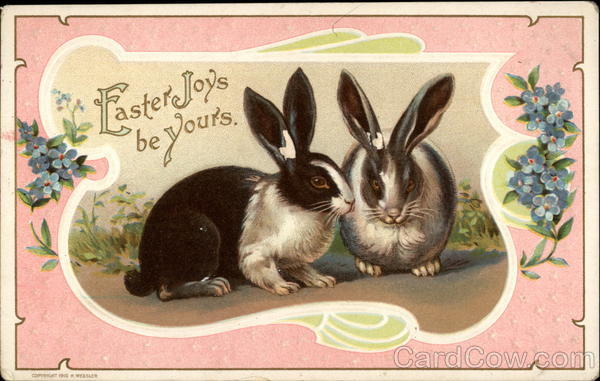 A Couple of Black-and-white Bunnies With Bunnies