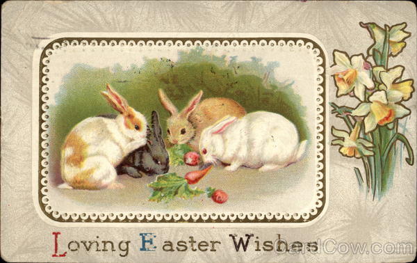 Bunnies eating carrots With Bunnies