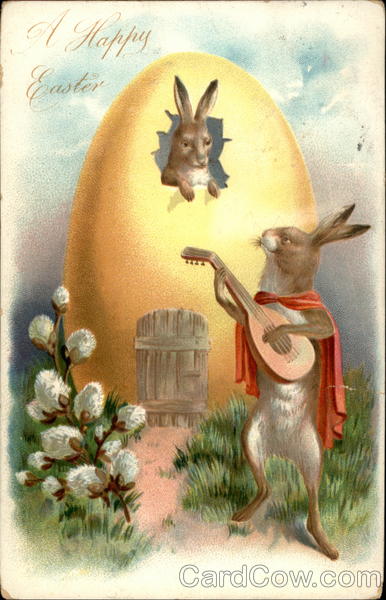 Bunny Serenade With Bunnies