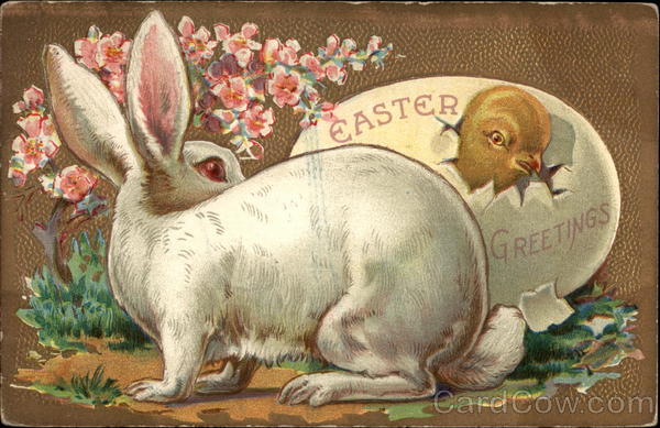 A Rabbit Watching a Chick Pop Out From An Egg With Bunnies