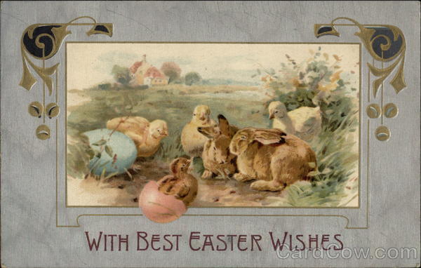 Bunnies Meeting the New Chicks in Town With Bunnies