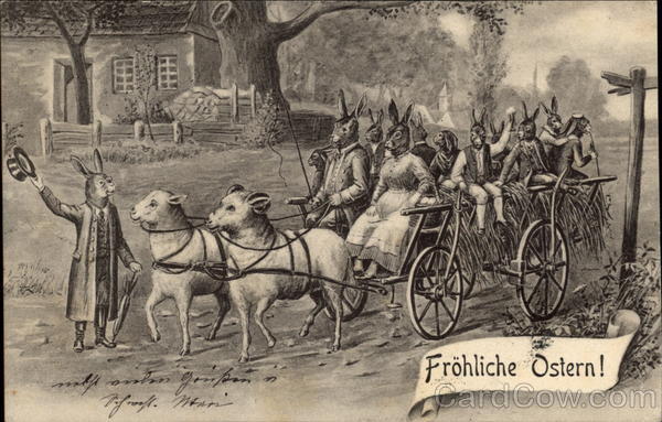 The Bunny Family Arrives With Bunnies