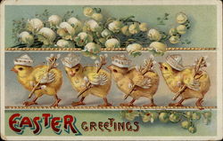 Four chicks dressed with caps, walking in a row Postcard