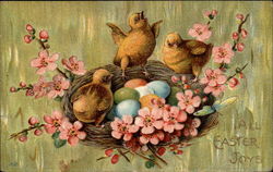 Chicks On A FLowery Nest Postcard