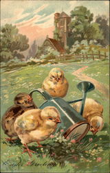 Chicks and Watering Can in Flowery Meadow Postcard