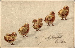 Five Little Chicks all in a Row Postcard