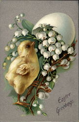 Chick and flowers and egg Postcard