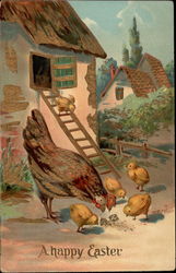 Breakfast time for Mother Hen and Chicks With Chicks Postcard Postcard