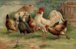 A White Rooster and His Six Hens Postcard