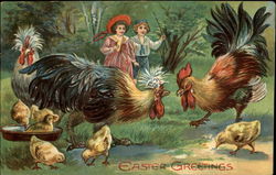 Children View Roosters and Chicks Postcard