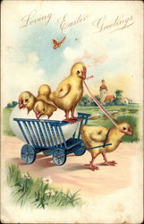 Chick pulling a wagon of chicks Postcard