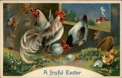 Roosters pecking in the henhouse With Chicks Postcard Postcard
