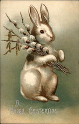 White Bunny Holds Pussy Willow Postcard