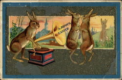 Rabbits Dancing To A Phonograph Postcard