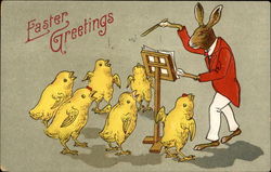 Chicks Singing For Mr Bunny Postcard