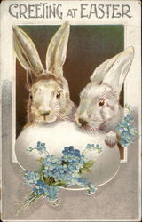 A bunny couple looking over an egg Postcard