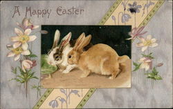 Two Bunnies Nibble Lettuce Postcard