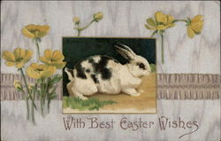 Mottled Bunny with Buttercups With Bunnies Postcard Postcard