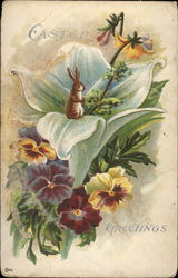A Wee Bunny Amidst Pansies and a Lily Postcard