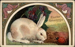 A Bunny Meets a Ladybug Postcard