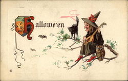 Witch Playing a Lute Halloween Postcard Postcard