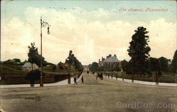 The Avenue Newmarket Suffolk England
