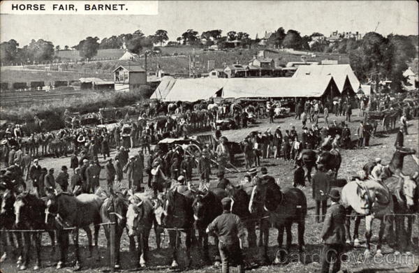Horse Fair Barnet England