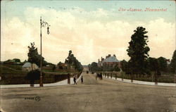 The Avenue Newmarket, Suffolk England Postcard Postcard