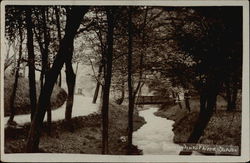 Sunnyhurst Wood Postcard