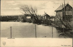 Meols pond Postcard