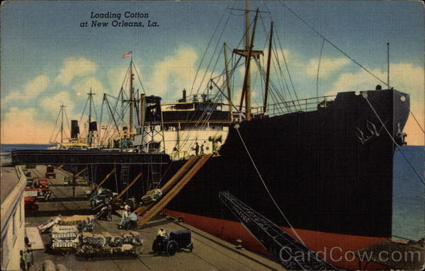 Loading Cotton at New Orleans, La Louisiana