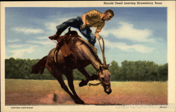 Harold Oneil Leaving Strawberry Roan Oklahoma Rodeos