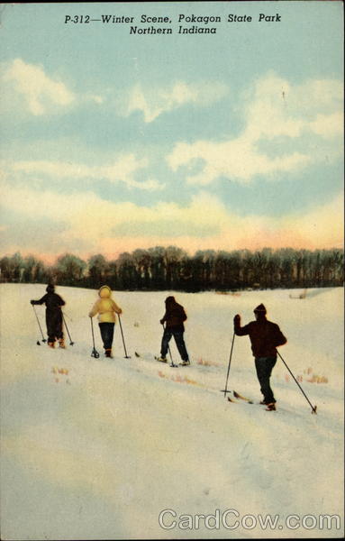 Winter Scene, Pokagon State Park Angola Indiana