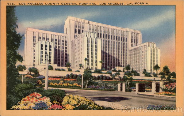 Los Angeles County General Hospital California