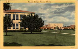 Phoenix College Arizona Postcard Postcard