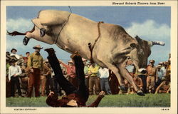 Howard Roberts Thrown from Steer Postcard
