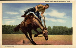 Harold Oneil Leaving Strawberry Roan Postcard