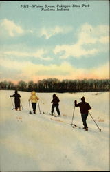 Winter Scene, Pokagon State Park Angola, IN Postcard Postcard