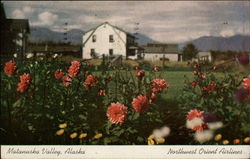 Matanuska Valley Alaska Postcard Postcard