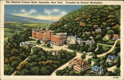 The Physical Culture Hotel Dansville, NY Postcard Postcard