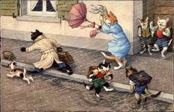 Mainzer Cats Caught in a Rainstorm Postcard