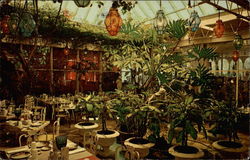 Patio Room at The Kapok Tree Inn Postcard
