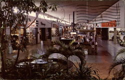 View from the Gardens of the West Court overlooking the Fountain in North Star Mall Postcard